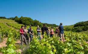 Visite complète du domaine