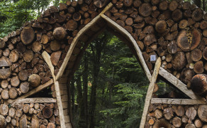 Balade dans la forêt des expériences