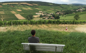 Chemin de découverte au coeur du vignoble