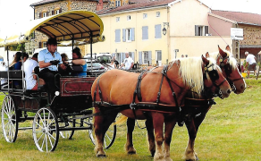 Découvrez Oingt en calèche