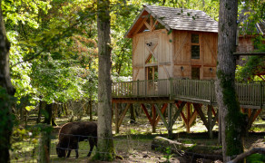 Cabane perchée Ranch - DDLD