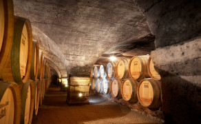 Dans le secret de nos caves