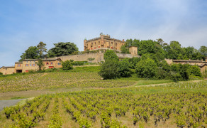 Circuit Le château de la Belle au bois Dormant