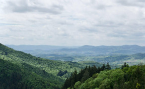 La forêt de la Cantinière - Beaujolais - Saint-Cyr-le-Châtoux
