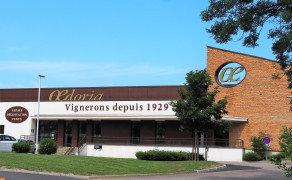Oedoria : boutique de Liergues