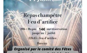 Feu d'artifice