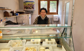 De la prairie au fromage