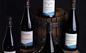 Visite commentée du cuvage, dégustation et casse croûte Beaujolais