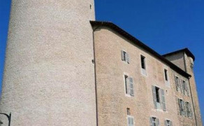 Visites guidées du château des Tours à Anse