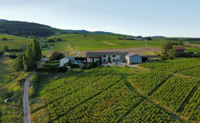 Gîte Les Hortensias