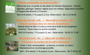 Balade commentée au mont Brouilly
