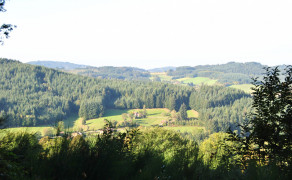 Les charmes - Beaujolais - Saint-Igny-De-Vers