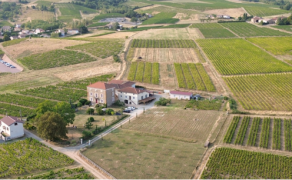Domaine Croso Bonnier