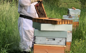 La Grappe et le Rucher - Rencontre avec un Producteur