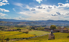 Traverse des Pierres Dorées n° 12 - Bagnols
