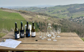 Beaujolais Wine Experiences