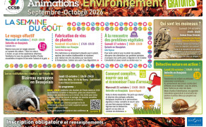Fabrication de vins de plantes