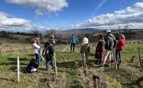 Visite contée « Les Mystères de la Pierre »