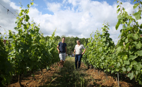 Visite commentée, dégustation vins Bio avec produits fermiers