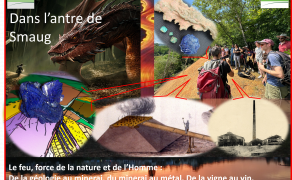 Dans l'antre de Smaug