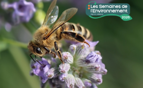 Exposition photo : Zoom sur la biodiversité