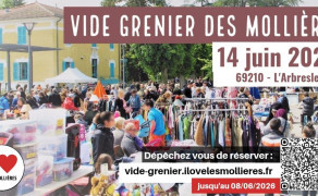 Vide grenier des Mollières