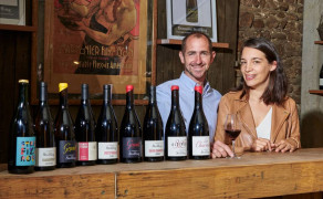 Visite des vignes au cuvage et dégustation au domaine Striffling