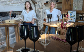 Dégustation Géosens du Vin au cœur des Pierres Dorées du Sud Beaujolais