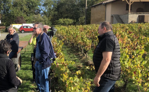 Dégustation de vins commentée & immersion au cœur de notre Domaine viticole
