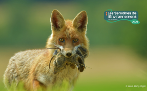 Biodiversité des milieux