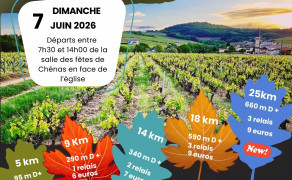 Randonnée annuelle de Chénas