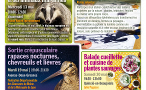 Balade cueillette et cuisine de plantes sauvages