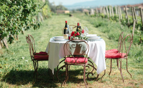 Dîner dans les vignes au Château Thivin  - Dîner