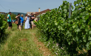 Le Temps des Copains... Brouilly, Brasero by Bobosse et musique à volonté ! - Dîner