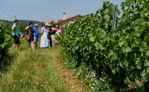 Le Temps des Copains... Brouilly, Brasero by Bobosse et musique à volonté ! - Dîner