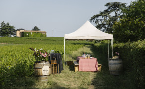 Un moment insolite au pied du Mont Brouilly - Dîner