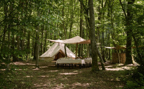 L'aventure entre vigne & forêt - Dîner