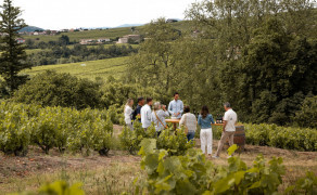 Brasero au domaine - Lunch