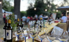 Les Jeudis sans Pépin