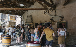Dégustation vivante ! 7 thématiques pour près de 60 vins - Toute la journée