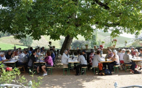 Pique nique chez le vigneron indépendant - Portes ouvertes