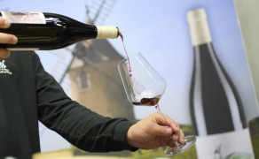 Dégustation commentée au Caveau du Moulin-à-Vent