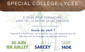 Stage cheval et nature