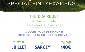 Stage cheval et nature, spécial fin d'examens