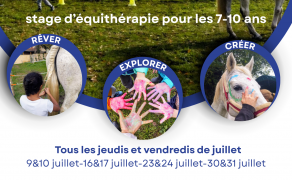 Stages nature et chevaux