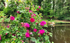 « Rendez-vous aux jardins » - Jardin des Eaux