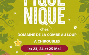 Dégustation Vins en Beaujolais