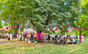 A la rencontre de nos vignerons