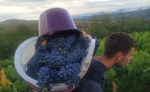 Cuvage en Fête chez Eric et Nathalie