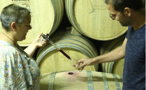 Création de sa propre cuvée de Vin (Atelier Assemblage)